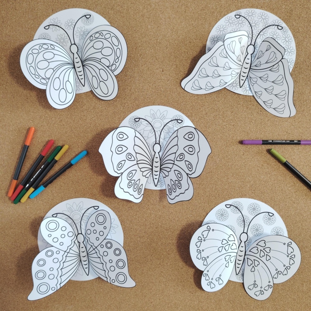 1000041205-compressed