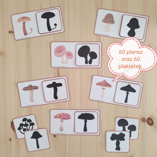 cienie_1